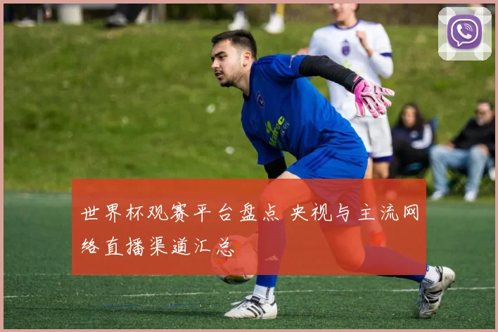 世界杯观赛平台盘点 央视与主流网络直播渠道汇总