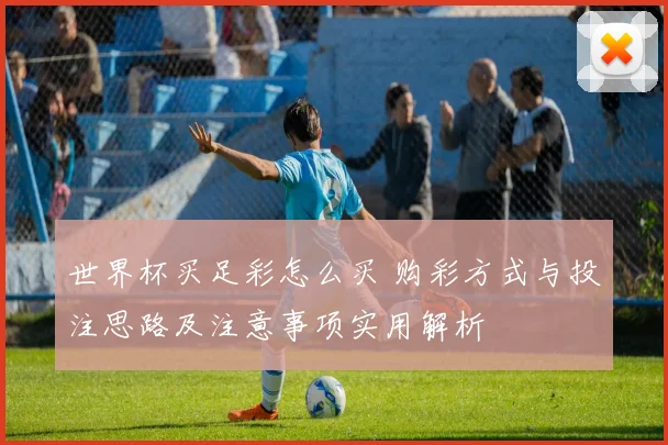 世界杯买足彩怎么买 购彩方式与投注思路及注意事项实用解析