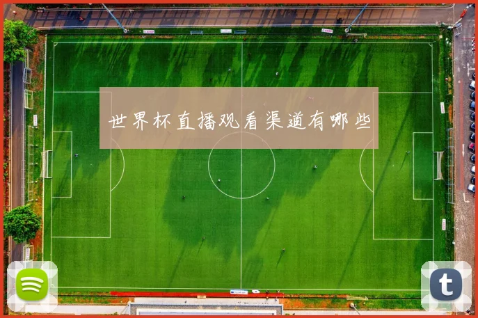 世界杯直播观看渠道有哪些