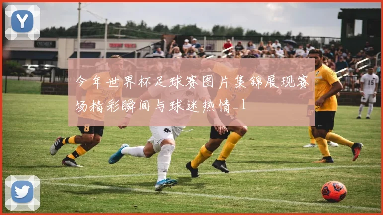 今年世界杯足球赛图片集锦展现赛场精彩瞬间与球迷热情_1