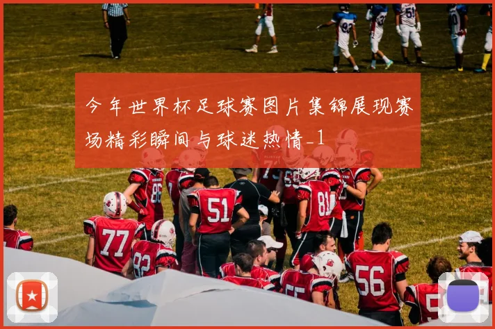 今年世界杯足球赛图片集锦展现赛场精彩瞬间与球迷热情_1