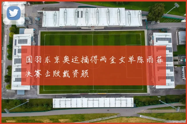 国羽东京奥运摘得两金女单陈雨菲决赛击败戴资颖