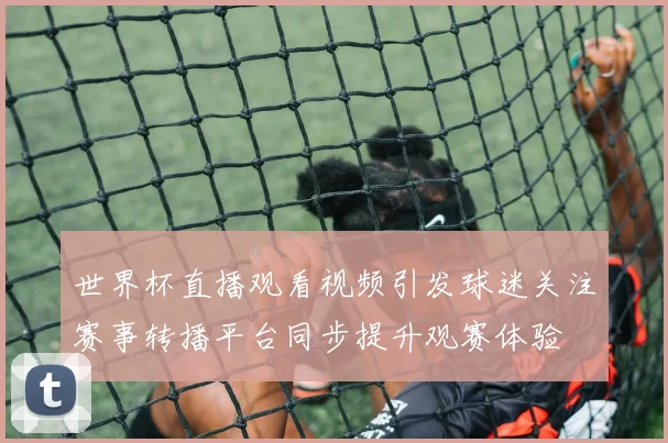 世界杯直播观看视频引发球迷关注赛事转播平台同步提升观赛体验