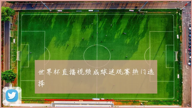 世界杯直播视频成球迷观赛热门选择