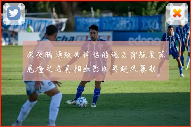 深夜暗涌致命伴侣的谎言背叛复苏危墙之恋真相幽影间再起风暴潮