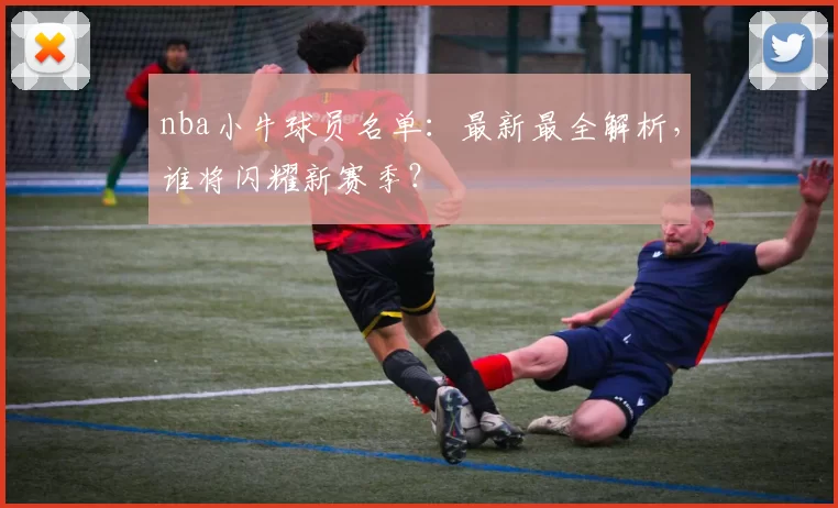 nba小牛球员名单：最新最全解析，谁将闪耀新赛季？