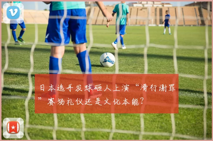 日本选手发球砸人上演“滑行谢罪”赛场礼仪还是文化本能？