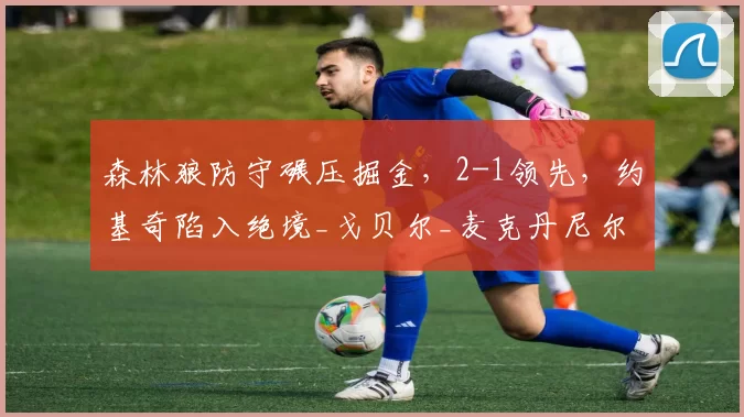 森林狼防守碾压掘金，2-1领先，约基奇陷入绝境_戈贝尔_麦克丹尼尔斯_进攻