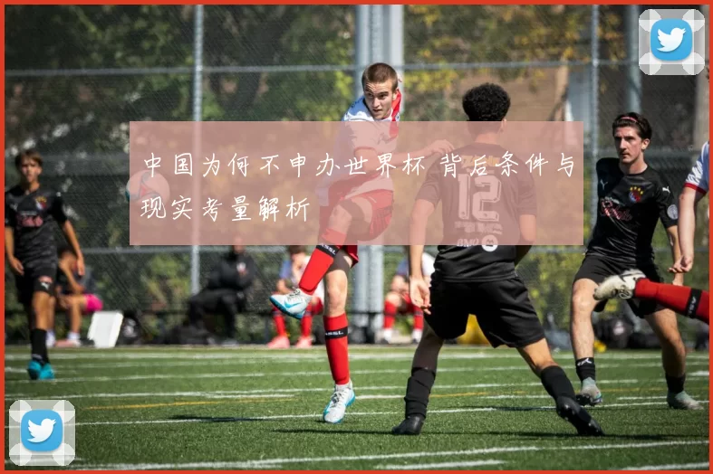 中国为何不申办世界杯 背后条件与现实考量解析